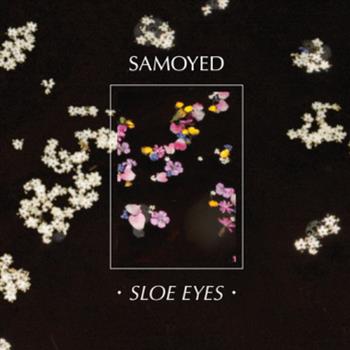 Samoyed - Vase