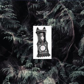 Zanshin - Swings & Roundabouts - Affine