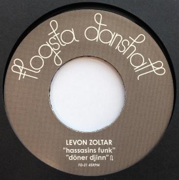 Levon Zoltar - Flogsta Danshall