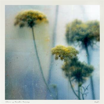 Soosh - Colour is Breathe Remixes - Error Broadcast Soosh - Colour is Breathe Remixes - Error Broadcast