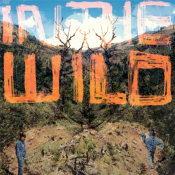 FaltyDL - In The Wild (2 x 12" inc Download Code) - Ninja Tune