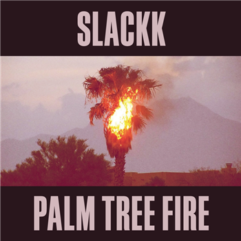 Slackk - Palm Tree Fire - Local Action