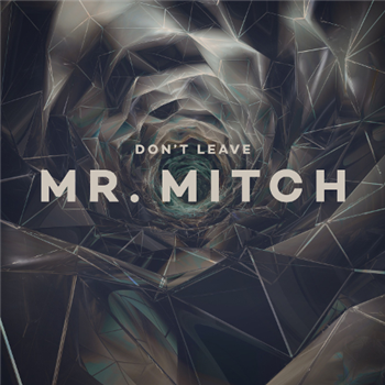 Mr. Mitch - Planet Mu