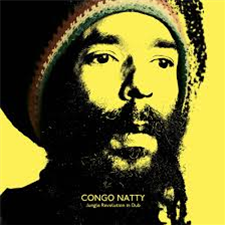 Congo Natty - Jungle Revolution In Dub  - Big Dada