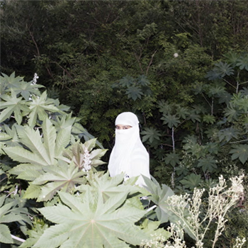 SELA. - homemade jams from jules & jessicas kitchen - Error Broadcast