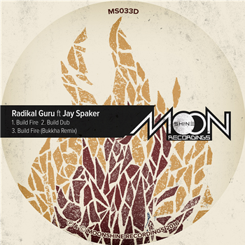 Radikal Guru - Build Fire EP - Moonshine Recordings