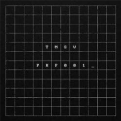 TMSV - Perfect Records