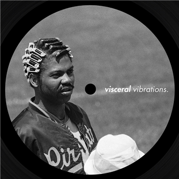 Babe Roots - Visceral Vibrations