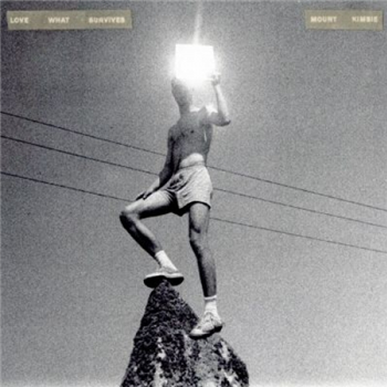Mount Kimbie - Love What Survives (2 X LP) - Warp
