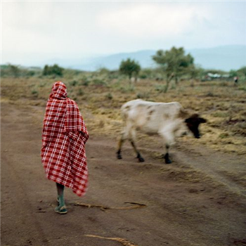 Stalawa in East Africa - Scotch Bonnet Records Stalawa in East Africa - Scotch Bonnet Records