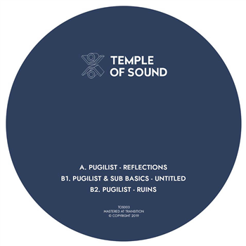 Pugilist & Sub Basics - Reflections - Temple Of Sound