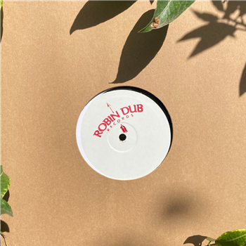 Teffa / MNTCSTRLIXBEATS - Robin Dub Records Teffa / MNTCSTRLIXBEATS - Robin Dub Records