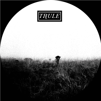 Stefàn Dubs - Spring Tones - TRULE
