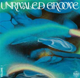VARIOUS ARTISTS - UNRIVALED GROOVE VOL. 1 - MAISON FAUNA RECORDS