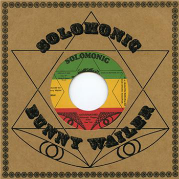 Peter Tosh & Solomonic Reggae Star - Dub Store Records