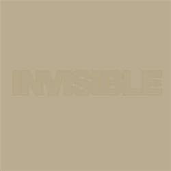 Various Artists - Invisible 013 EP (Torn Spine) - Invisible