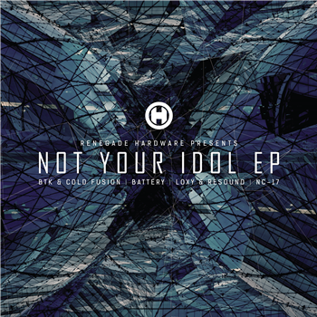 Not Your Idol EP - Va (2 x 12") - Renegade Hardware
