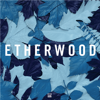 Etherwood - Blue Leaves - Med School Music