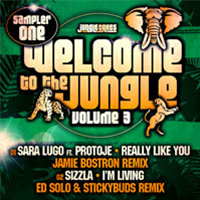 Welcome To The Jungle Volume 3. Sampler 1 - Jungle Cakes