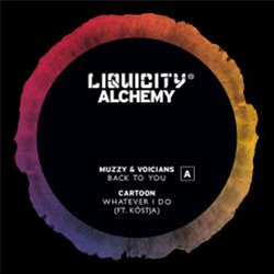 Alchemy Vinyl Sampler - Va - Liquicity Records