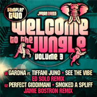 Welcome To The Jungle Volume 3. Sampler 2 - Jungle Cakes