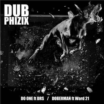Dub Phizix ft DRS & Ward 21 - Senka002 - Senka Sonic