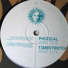 RONI SIZE - V Recordings