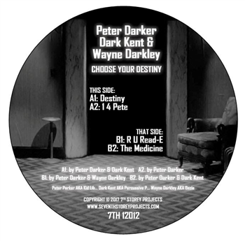 Peter Darker (Kid Lib) - Choose Your Destiny - 7th Storey Projects Peter Darker (Kid Lib) - Choose Your Destiny - 7th Storey Projects