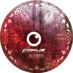 Soul Derivatives: Album Sampler pt.2 incl. Break remix - Va - Fokuz Recordings