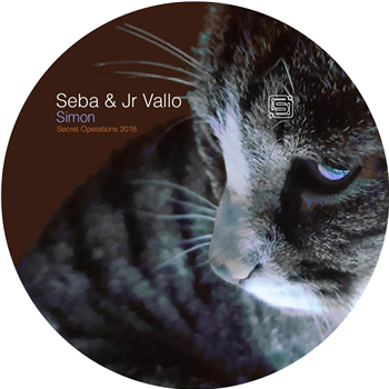 Seba & Jr Vallo - Secret Operations