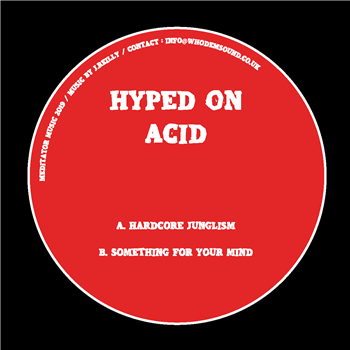 Hyped On Acid  - Meditator Music