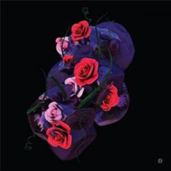 Hyroglifics - Stone Rose EP - Critical Music