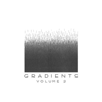 Various Artists - Gradients Vol. 2 [3 x 12"] - Astrophonica