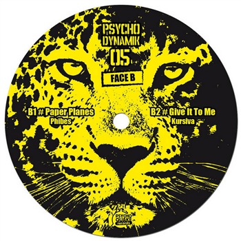 Various Artists - Psychodynamik 05 - Psychoquake Records