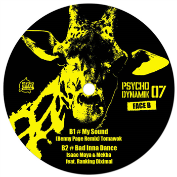 Various Artists - Psychodynamik 07 - Psychoquake Records
