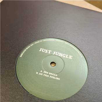 Just Jungle - Meditator Music