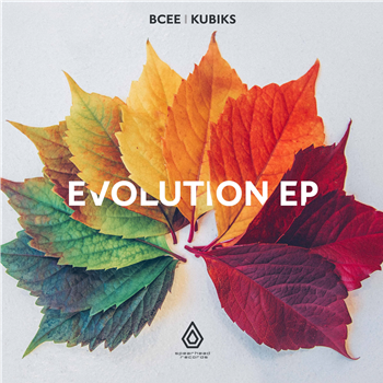 BCee & Kubiks - The Evolution EP 10" - Spearhead Records