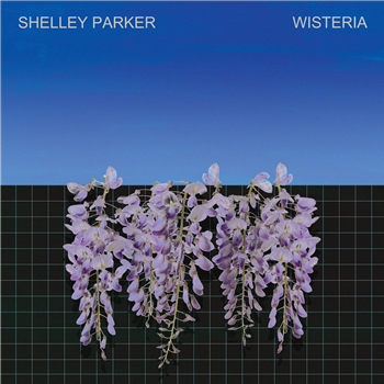 Shelley Parker - Wisteria (2 X 12") - Hypercolour