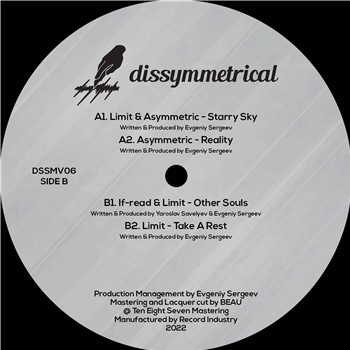 Various Artists - Dissymmetrical Vinyl 06 - Dissymmetrical Music