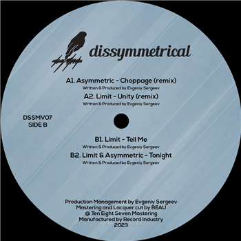 Various Artists - Dissymmetrical Vol 7 - Dissymmetrical 