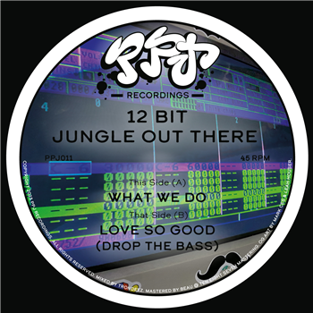 12bit Jungle Out There - PPJ 011 - PPJ 12bit Jungle Out There - PPJ 011 - PPJ