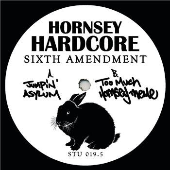Hornsey Hardcore - Sixth Amendment - HORNSEY HARDCORE