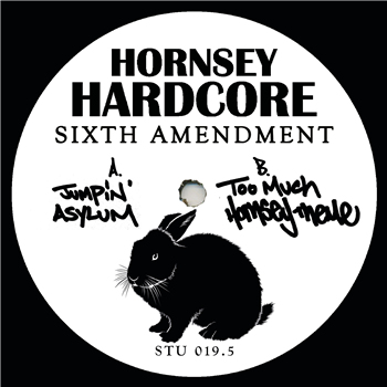 Hornsey Hardcore - Sixth Amendment - HORNSEY HARDCORE Hornsey Hardcore - Sixth Amendment - HORNSEY HARDCORE