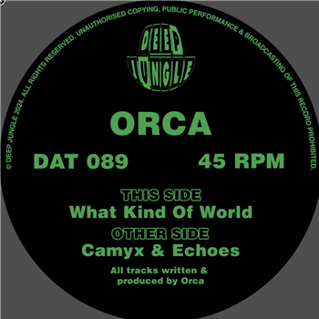 Orca - What Kind of World EP - Deep Jungle