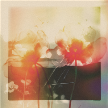 gyrofield - Akin / Mother - FABRICLIVE.