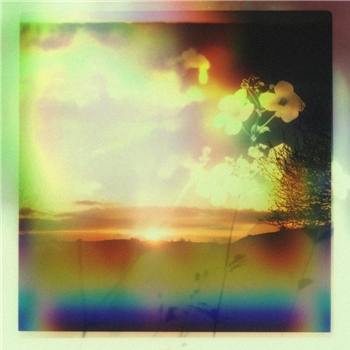 Tim Reaper / Mantra / Decibella - Sage EP - FABRICLIVE.