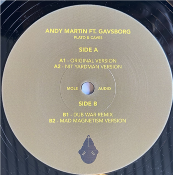 Andy Martin ft. Gavsborg’s Plato & Caves - Mole Audio