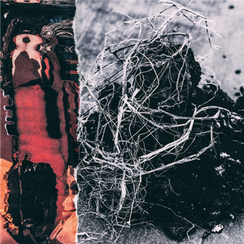 Mopcut - RYOK - LP - Heat Crimes Mopcut - RYOK - LP - Heat Crimes