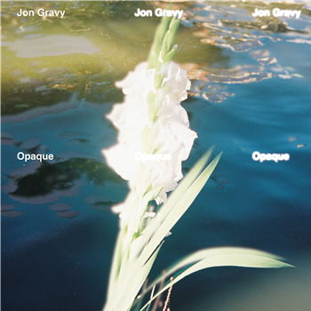 JON GRAVY - OPAQUE (LP) - STUDIO BAHÖÖ JON GRAVY - OPAQUE (LP) - STUDIO BAHÖÖ