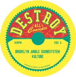 Brooklyn Jungle Soundsystem - Destroy All Concepts